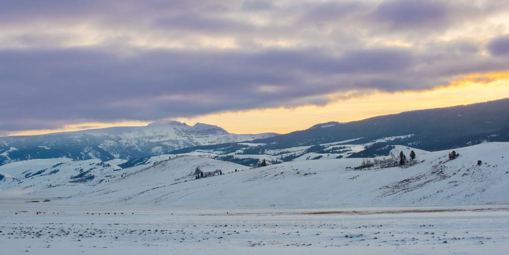 Elk Refuge Inn Τζάκσον Εξωτερικό φωτογραφία