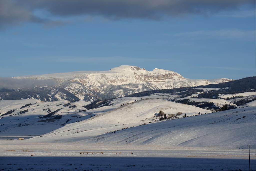 Elk Refuge Inn Τζάκσον Εξωτερικό φωτογραφία